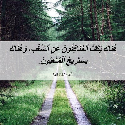 Picture 06 - أَيُّوبَ 3:17 AVD - هُنَاكَ يَكُفُّ - Bible Verse Picture