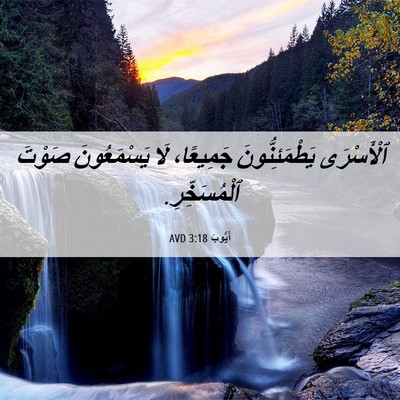 Picture 06 - أَيُّوبَ 3:18 AVD - ٱلْأَسْرَى يَطْمَئِنُّونَ - Bible Verse Picture