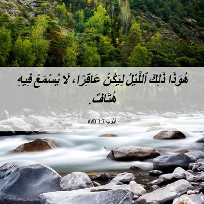 Picture 06 - أَيُّوبَ 3:7 AVD - هُوَذَا ذَلِكَ ٱللَّيْلُ - Bible Verse Picture