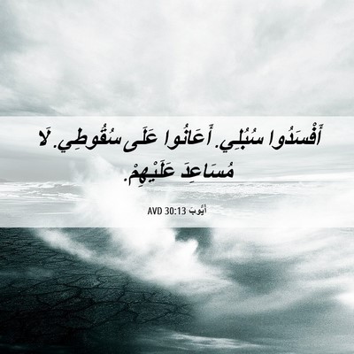 Picture 06 - أَيُّوبَ 30:13 AVD - أَفْسَدُوا سُبُلِي. - Bible Verse Picture