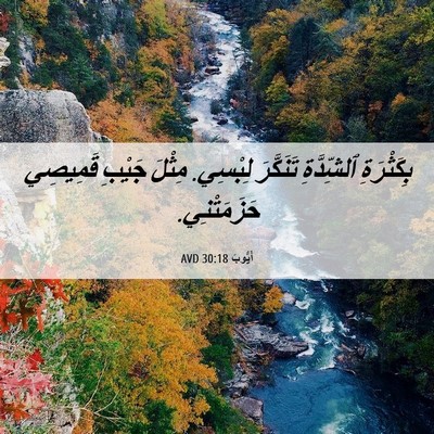 Picture 06 - أَيُّوبَ 30:18 AVD - بِكَثْرَةِ ٱلشِّدَّةِ - Bible Verse Picture