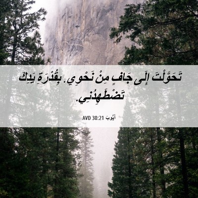 Picture 06 - أَيُّوبَ 30:21 AVD - تَحَوَّلْتَ إِلَى جَافٍ - Bible Verse Picture