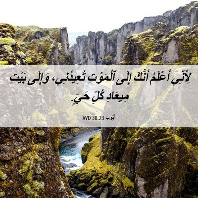 Picture 06 - أَيُّوبَ 30:23 AVD - لِأَنِّي أَعْلَمُ أَنَّكَ - Bible Verse Picture