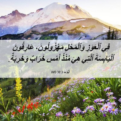 Picture 06 - أَيُّوبَ 30:3 AVD - فِي ٱلْعَوَزِ وَٱلْمَحْلِ - Bible Verse Picture