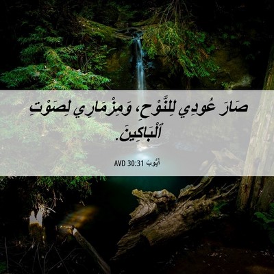 Picture 06 - أَيُّوبَ 30:31 AVD - صَارَ عُودِي لِلنَّوْحِ، - Bible Verse Picture