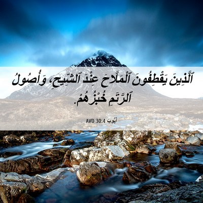 Picture 06 - أَيُّوبَ 30:4 AVD - ٱلَّذِينَ يَقْطِفُونَ - Bible Verse Picture