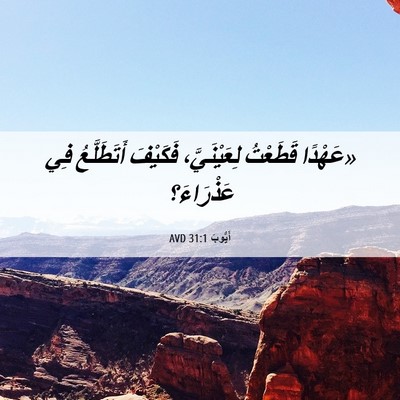 Picture 06 - أَيُّوبَ 31:1 AVD - «عَهْدًا قَطَعْتُ - Bible Verse Picture