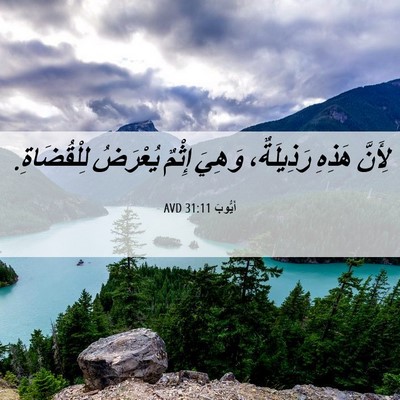 Picture 06 - أَيُّوبَ 31:11 AVD - لِأَنَّ هَذِهِ رَذِيلَةٌ، - Bible Verse Picture