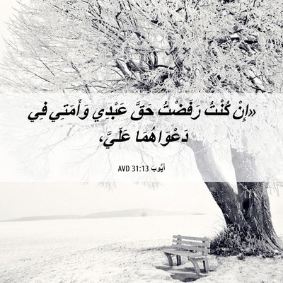 Picture 06 - أَيُّوبَ 31:13 AVD - «إِنْ كُنْتُ رَفَضْتُ - Bible Verse Picture