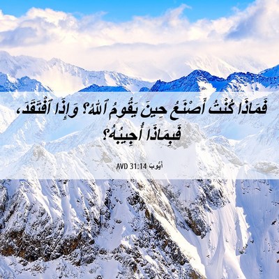Picture 06 - أَيُّوبَ 31:14 AVD - فَمَاذَا كُنْتُ أَصْنَعُ - Bible Verse Picture