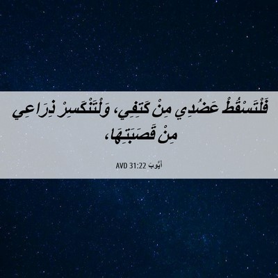 Picture 06 - أَيُّوبَ 31:22 AVD - فَلْتَسْقُطْ عَضُدِي مِنْ - Bible Verse Picture