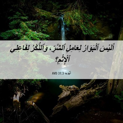 Picture 06 - أَيُّوبَ 31:3 AVD - أَلَيْسَ ٱلْبَوَارُ - Bible Verse Picture