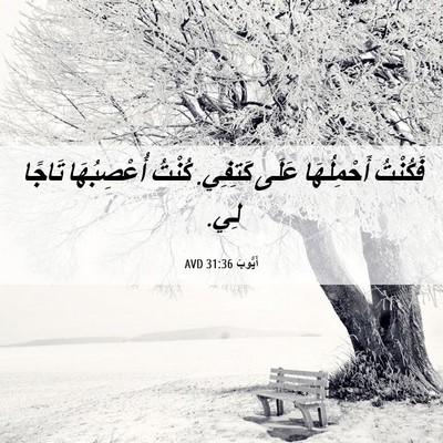 Picture 06 - أَيُّوبَ 31:36 AVD - فَكُنْتُ أَحْمِلُهَا - Bible Verse Picture