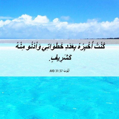 Picture 06 - أَيُّوبَ 31:37 AVD - كُنْتُ أُخْبِرُهُ - Bible Verse Picture