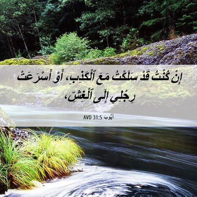 Picture 06 - أَيُّوبَ 31:5 AVD - إِنْ كُنْتُ قَدْ سَلَكْتُ - Bible Verse Picture