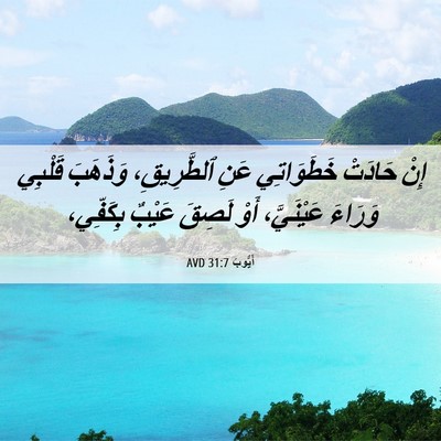 Picture 06 - أَيُّوبَ 31:7 AVD - إِنْ حَادَتْ خَطَوَاتِي - Bible Verse Picture