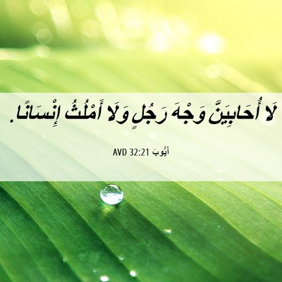 Picture 06 - أَيُّوبَ 32:21 AVD - لَا أُحَابِيَنَّ وَجْهَ - Bible Verse Picture