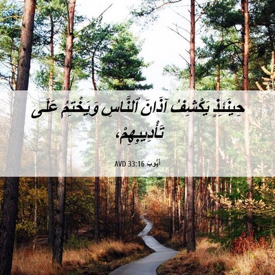 Picture 06 - أَيُّوبَ 33:16 AVD - حِينَئِذٍ يَكْشِفُ آذَانَ - Bible Verse Picture