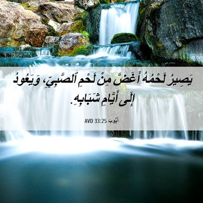 Picture 06 - أَيُّوبَ 33:25 AVD - يَصِيرُ لَحْمُهُ أَغَضَّ - Bible Verse Picture