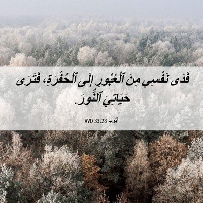 Picture 06 - أَيُّوبَ 33:28 AVD - فَدَى نَفْسِي مِنَ - Bible Verse Picture