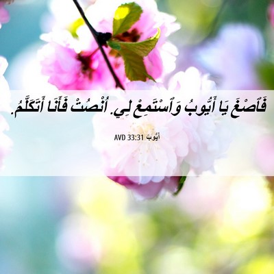 Picture 06 - أَيُّوبَ 33:31 AVD - فَٱصْغَ يَا أَيُّوبُ - Bible Verse Picture