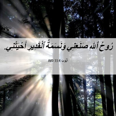 Picture 06 - أَيُّوبَ 33:4 AVD - رُوحُ ٱللهِ صَنَعَنِي - Bible Verse Picture