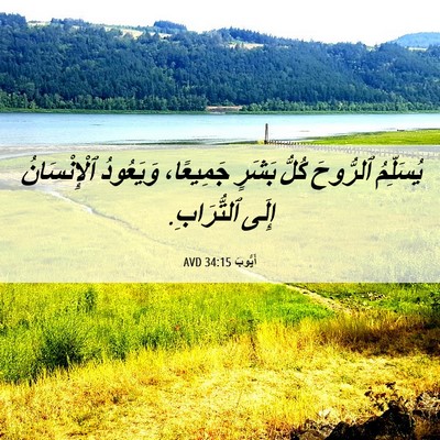 Picture 06 - أَيُّوبَ 34:15 AVD - يُسَلِّمُ ٱلرُّوحَ كُلُّ - Bible Verse Picture