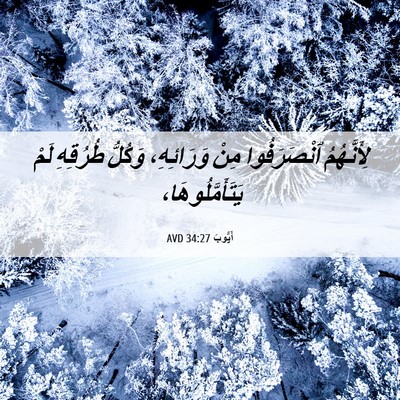 Picture 06 - أَيُّوبَ 34:27 AVD - لِأَنَّهُمُ ٱنْصَرَفُوا - Bible Verse Picture