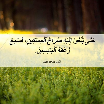 Picture 06 - أَيُّوبَ 34:28 AVD - حَتَّى بَلَّغُوا إِلَيْهِ - Bible Verse Picture