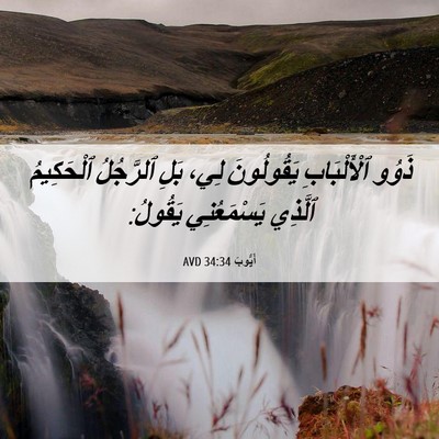 Picture 06 - أَيُّوبَ 34:34 AVD - ذَوُو ٱلْأَلْبَابِ - Bible Verse Picture