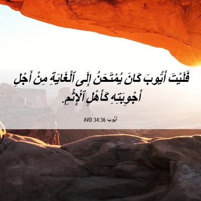 Picture 06 - أَيُّوبَ 34:36 AVD - فَلَيْتَ أَيُّوبَ كَانَ - Bible Verse Picture