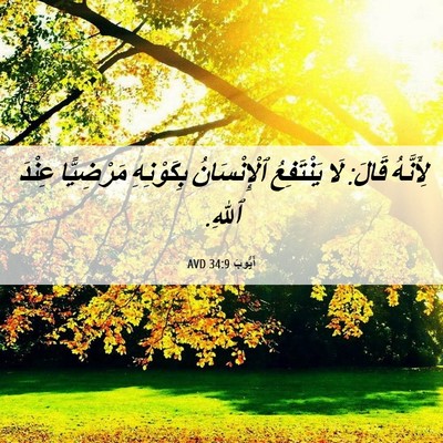 Picture 06 - أَيُّوبَ 34:9 AVD - لِأَنَّهُ قَالَ: لَا - Bible Verse Picture