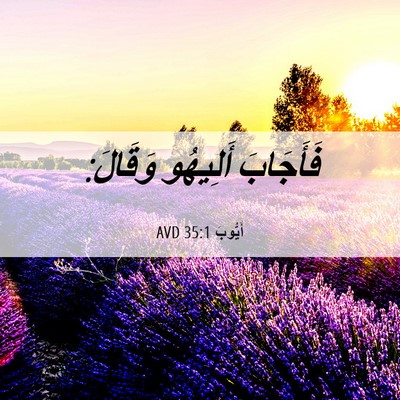 Picture 06 - أَيُّوبَ 35:1 AVD - فَأَجَابَ أَلِيهُو - Bible Verse Picture
