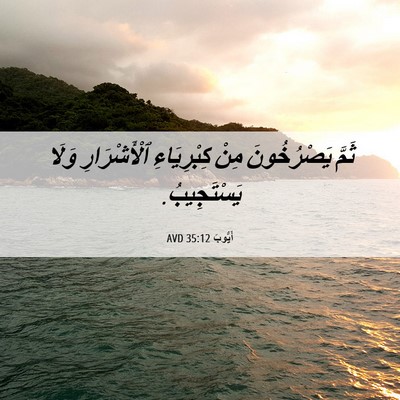 Picture 06 - أَيُّوبَ 35:12 AVD - ثَمَّ يَصْرُخُونَ مِنْ - Bible Verse Picture