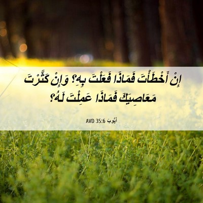 Picture 06 - أَيُّوبَ 35:6 AVD - إِنْ أَخْطَأْتَ فَمَاذَا - Bible Verse Picture