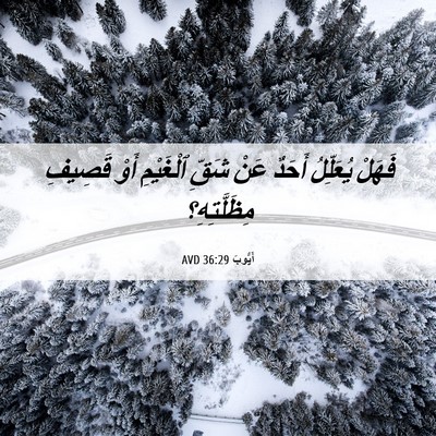 Picture 06 - أَيُّوبَ 36:29 AVD - فَهَلْ يُعَلِّلُ أَحَدٌ - Bible Verse Picture