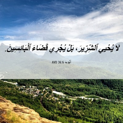 Picture 06 - أَيُّوبَ 36:6 AVD - لَا يُحْيي ٱلشِّرِّيرَ، - Bible Verse Picture
