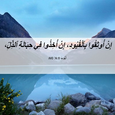 Picture 06 - أَيُّوبَ 36:8 AVD - إِنْ أُوثِقُوا - Bible Verse Picture