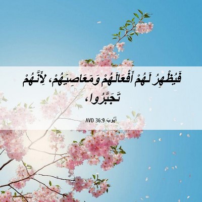 Picture 06 - أَيُّوبَ 36:9 AVD - فَيُظْهِرُ لَهُمْ - Bible Verse Picture