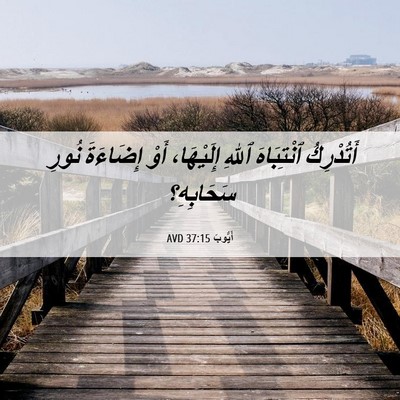 Picture 06 - أَيُّوبَ 37:15 AVD - أَتُدْرِكُ ٱنْتِبَاهَ - Bible Verse Picture