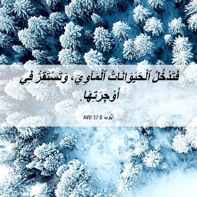 Picture 06 - أَيُّوبَ 37:8 AVD - فَتَدْخُلُ - Bible Verse Picture