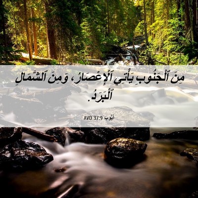 Picture 06 - أَيُّوبَ 37:9 AVD - مِنَ ٱلْجَنُوبِ يَأْتِي - Bible Verse Picture