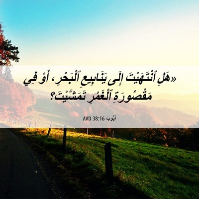 Picture 06 - أَيُّوبَ 38:16 AVD - «هَلِ ٱنْتَهَيْتَ إِلَى - Bible Verse Picture