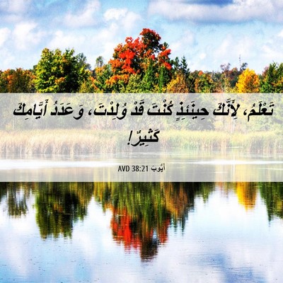 Picture 06 - أَيُّوبَ 38:21 AVD - تَعْلَمُ، لِأَنَّكَ - Bible Verse Picture