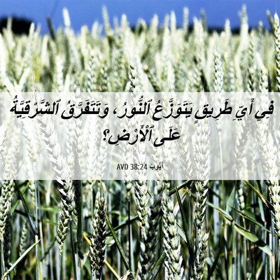 Picture 06 - أَيُّوبَ 38:24 AVD - فِي أَيِّ طَرِيقٍ - Bible Verse Picture