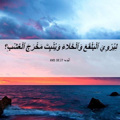 Picture 06 - أَيُّوبَ 38:27 AVD - لِيُرْوِيَ ٱلْبَلْقَعَ - Bible Verse Picture