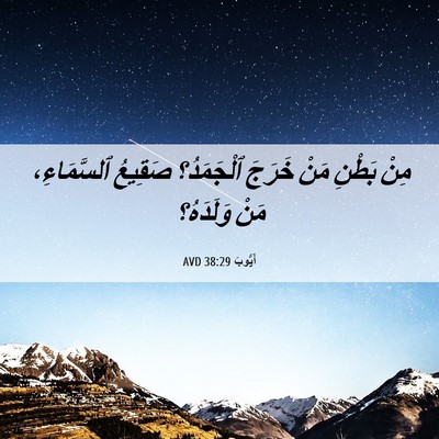 Picture 06 - أَيُّوبَ 38:29 AVD - مِنْ بَطْنِ مَنْ خَرَجَ - Bible Verse Picture