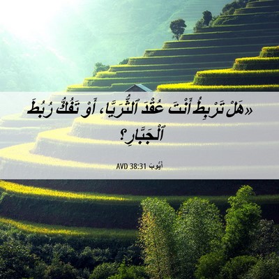 Picture 06 - أَيُّوبَ 38:31 AVD - «هَلْ تَرْبِطُ أَنْتَ - Bible Verse Picture
