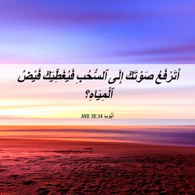 Picture 06 - أَيُّوبَ 38:34 AVD - أَتَرْفَعُ صَوْتَكَ إِلَى - Bible Verse Picture