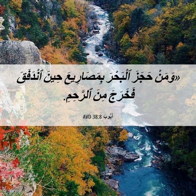 Picture 06 - أَيُّوبَ 38:8 AVD - «وَمَنْ حَجَزَ ٱلْبَحْرَ - Bible Verse Picture